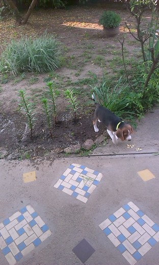 IMAG0051.jpg