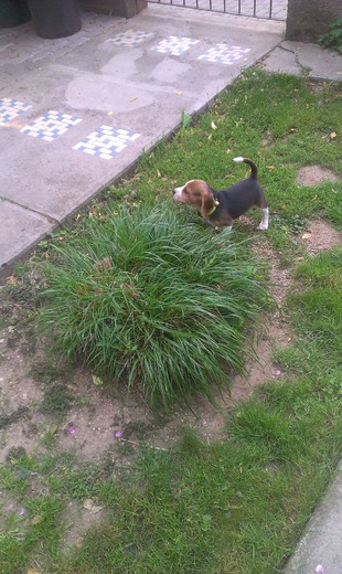 IMAG0053.jpg