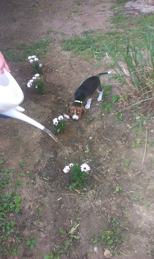 IMAG0055.jpg