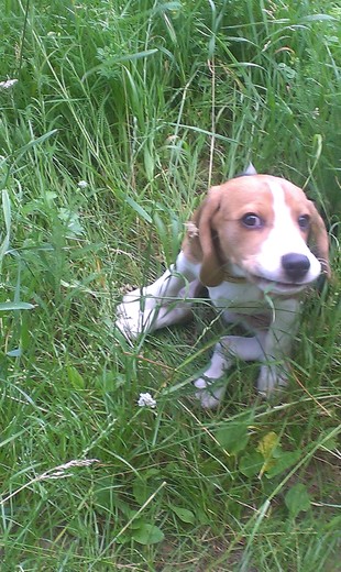 IMAG0070.jpg