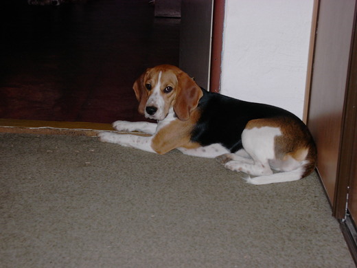 KIF_0890.JPG