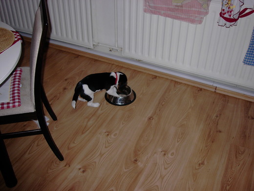 KIF_2490.JPG