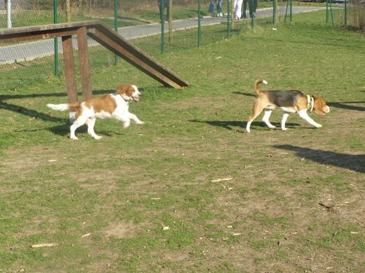 P4080006.JPG