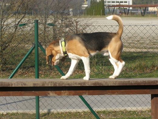 P4080015.JPG