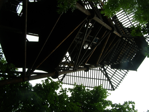 P6150016.JPG