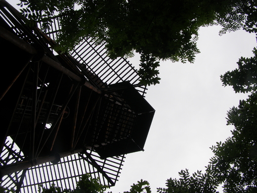 P6150018.JPG