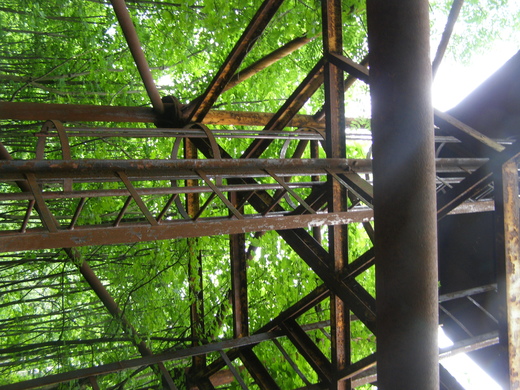 P6150019.JPG