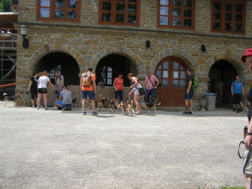 P6150027.JPG