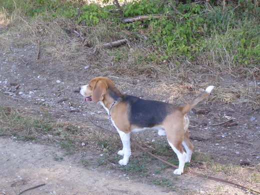 P8120003.JPG