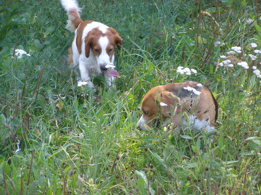 P8120006.JPG