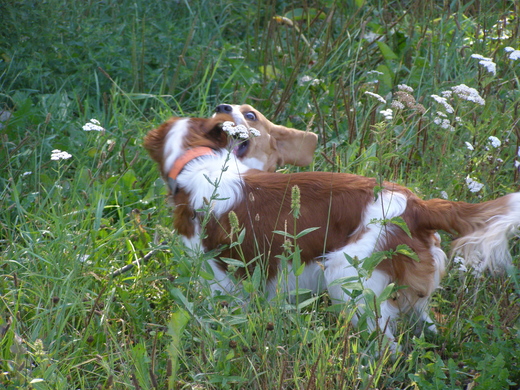 P8120008.JPG