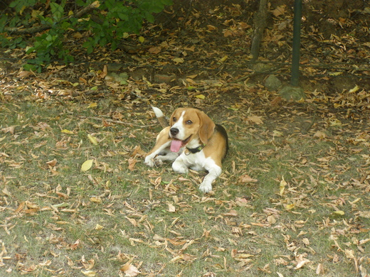 P8180004.JPG