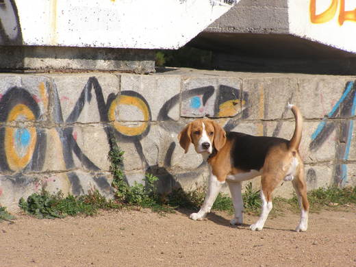 P9300010.JPG