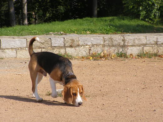 P9300011.JPG
