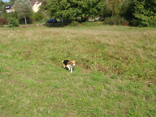 PA010001.JPG