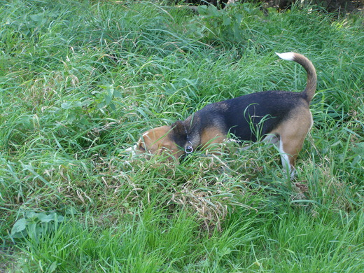 PA010003.JPG