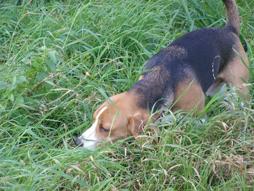 PA010004.JPG