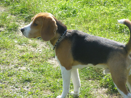 PA010005.JPG