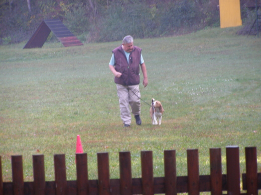 PA130021.JPG
