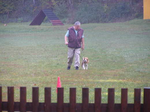 PA130025.JPG