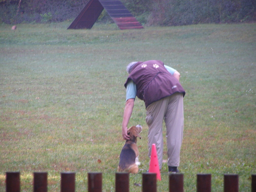 PA130030.JPG