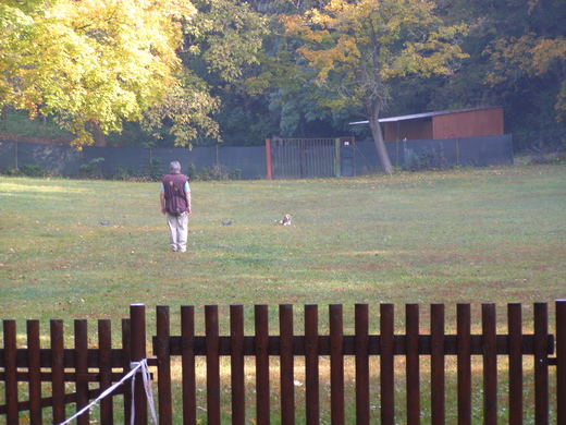 PA130033.JPG