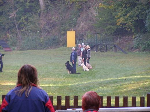 PA130034.JPG