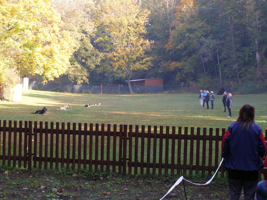 PA130037.JPG