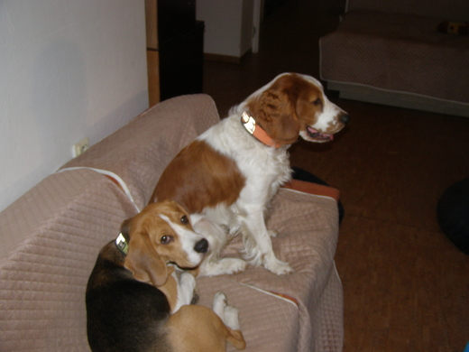 PA160016.JPG