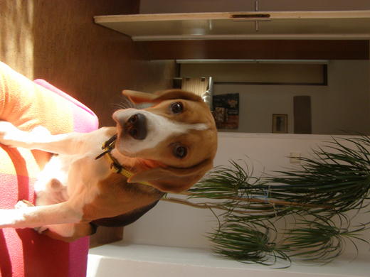 PC250015.JPG